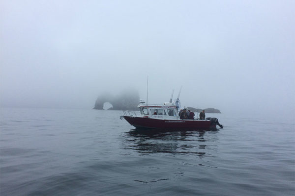capt. andy martin — kingfisher boats - welded adventure